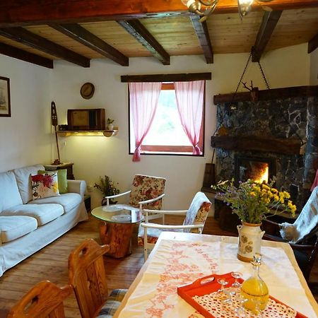 Plitvice Cottage IggyPlitvička Jezera エクステリア 写真