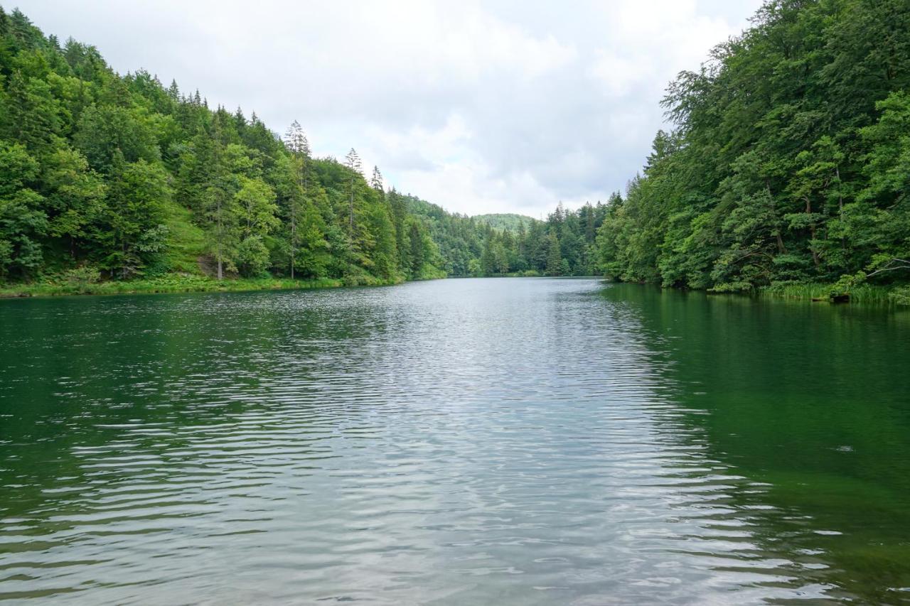 Plitvice Cottage IggyPlitvička Jezera エクステリア 写真