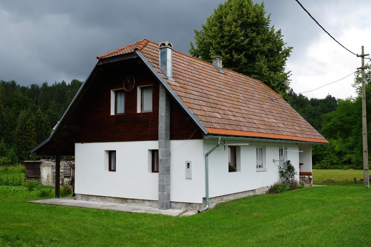Plitvice Cottage IggyPlitvička Jezera エクステリア 写真